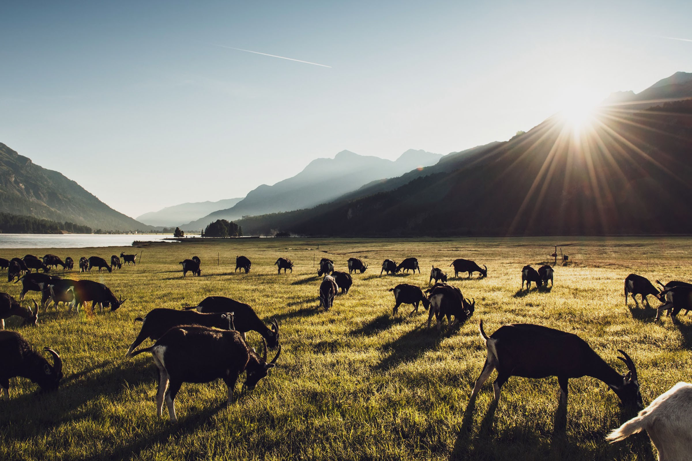 3 Sterne an schönster Lage
im Engadin